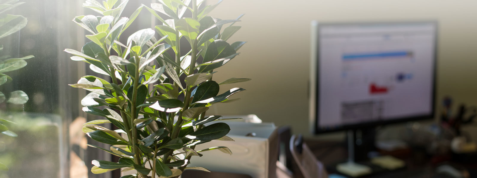 Broadlake Financial office interior